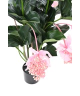 Kunstlill MEDINILLA 90 cm