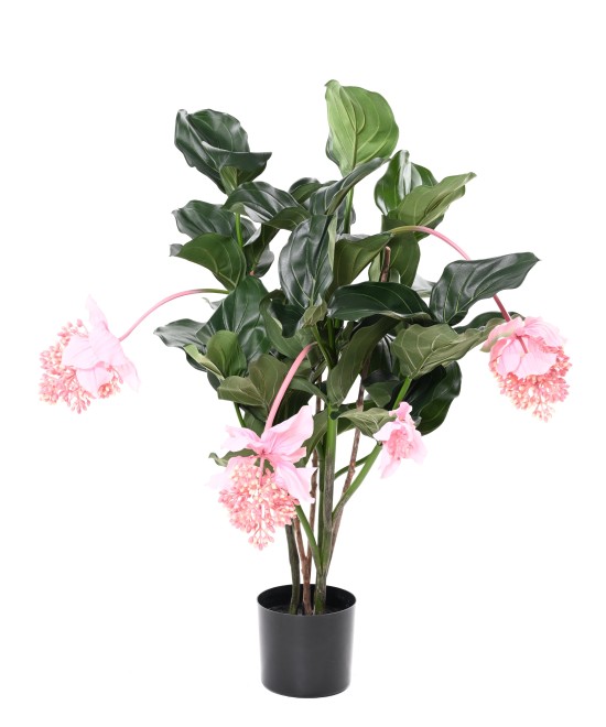 Kunstlill MEDINILLA 90 cm