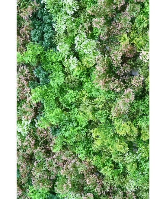 Kunsttaimedest seinapaneel SAMBAL 100*100
