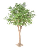 Artificial TAMARIND 295 (mimosa)