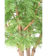 Kunstlik TAMARIND 295 (mimoos)