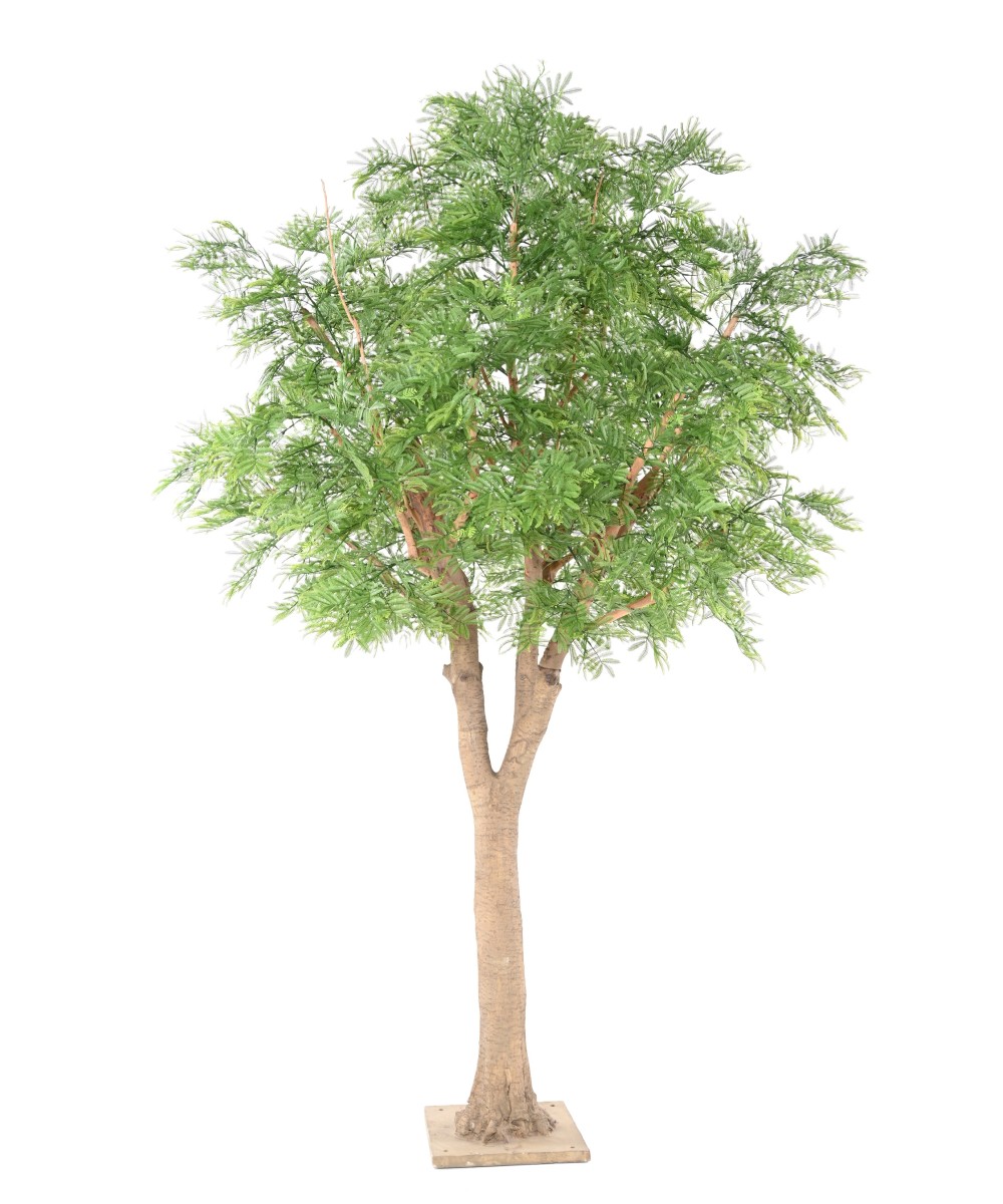 Artificial TAMARIND 295 (mimosa)