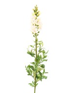 Artificial SNAPDRAGON