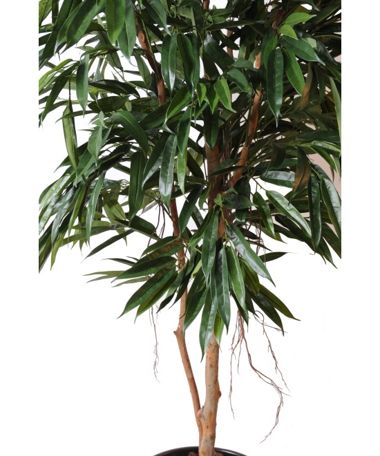 Artificial Ficus Alii Royal