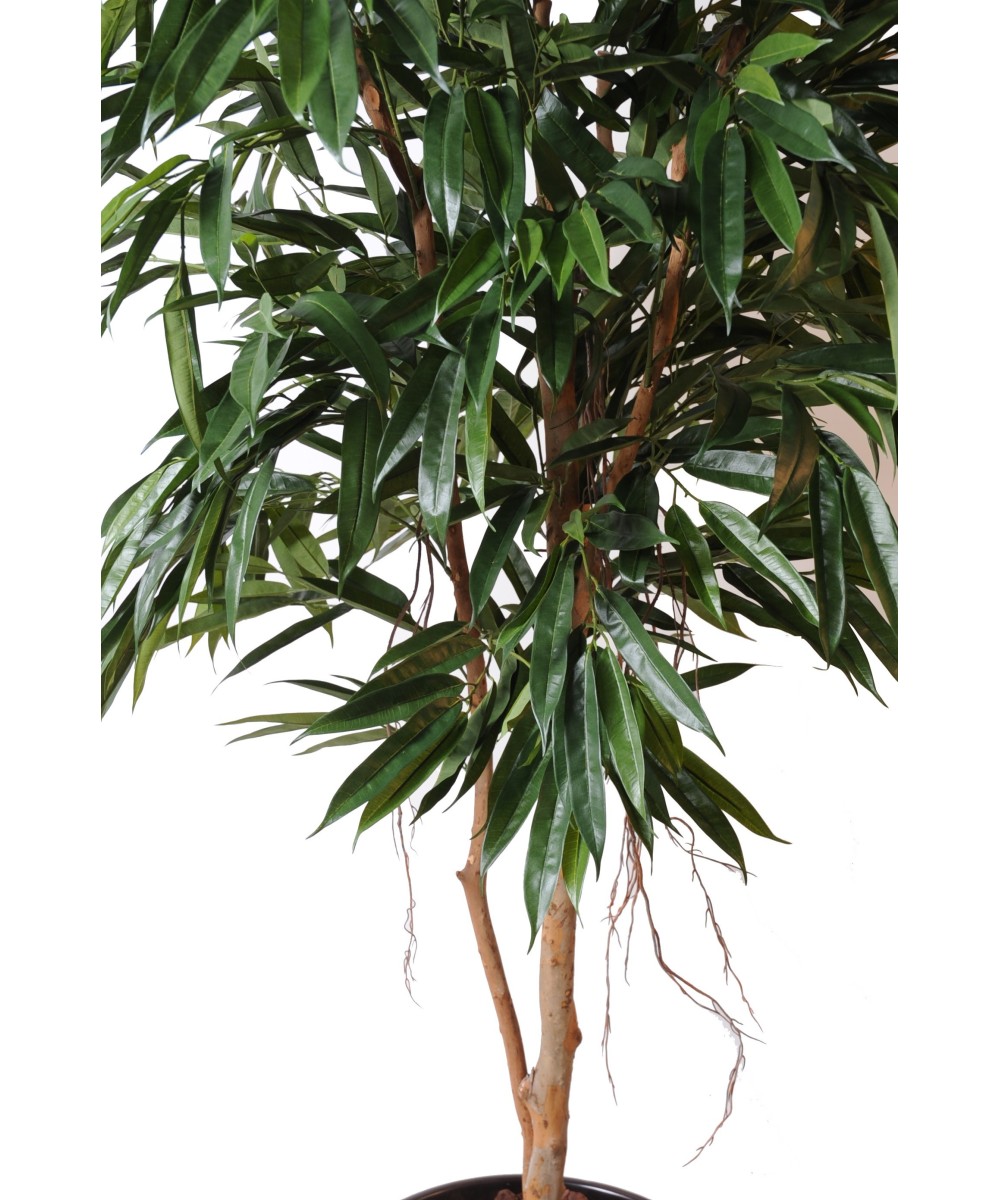 Artificial Ficus Alii Royal