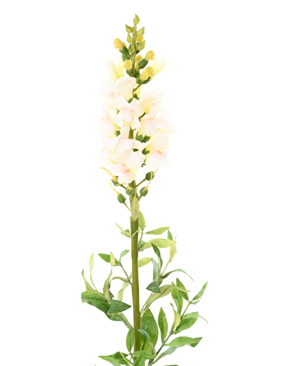 Kunstlik SNAPDRAGON