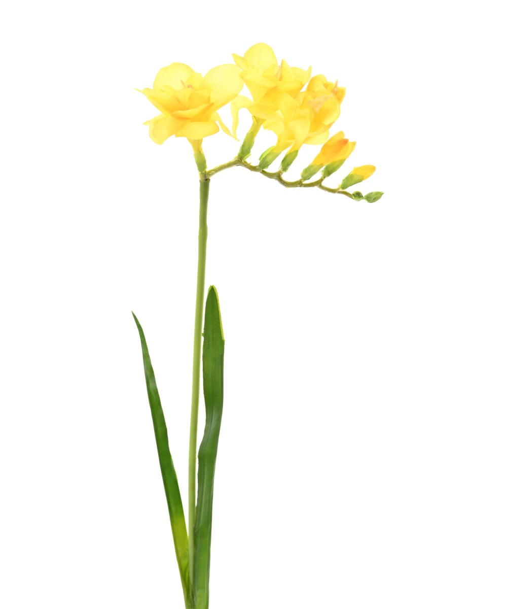 Kunstlik FREESIA
