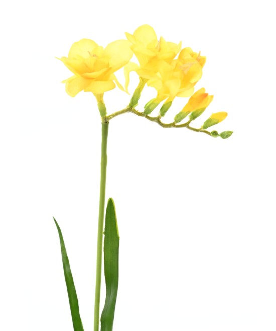 Kunstlik FREESIA