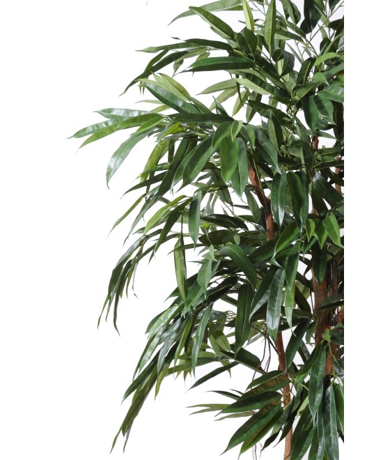 Artificial Ficus Alii Royal