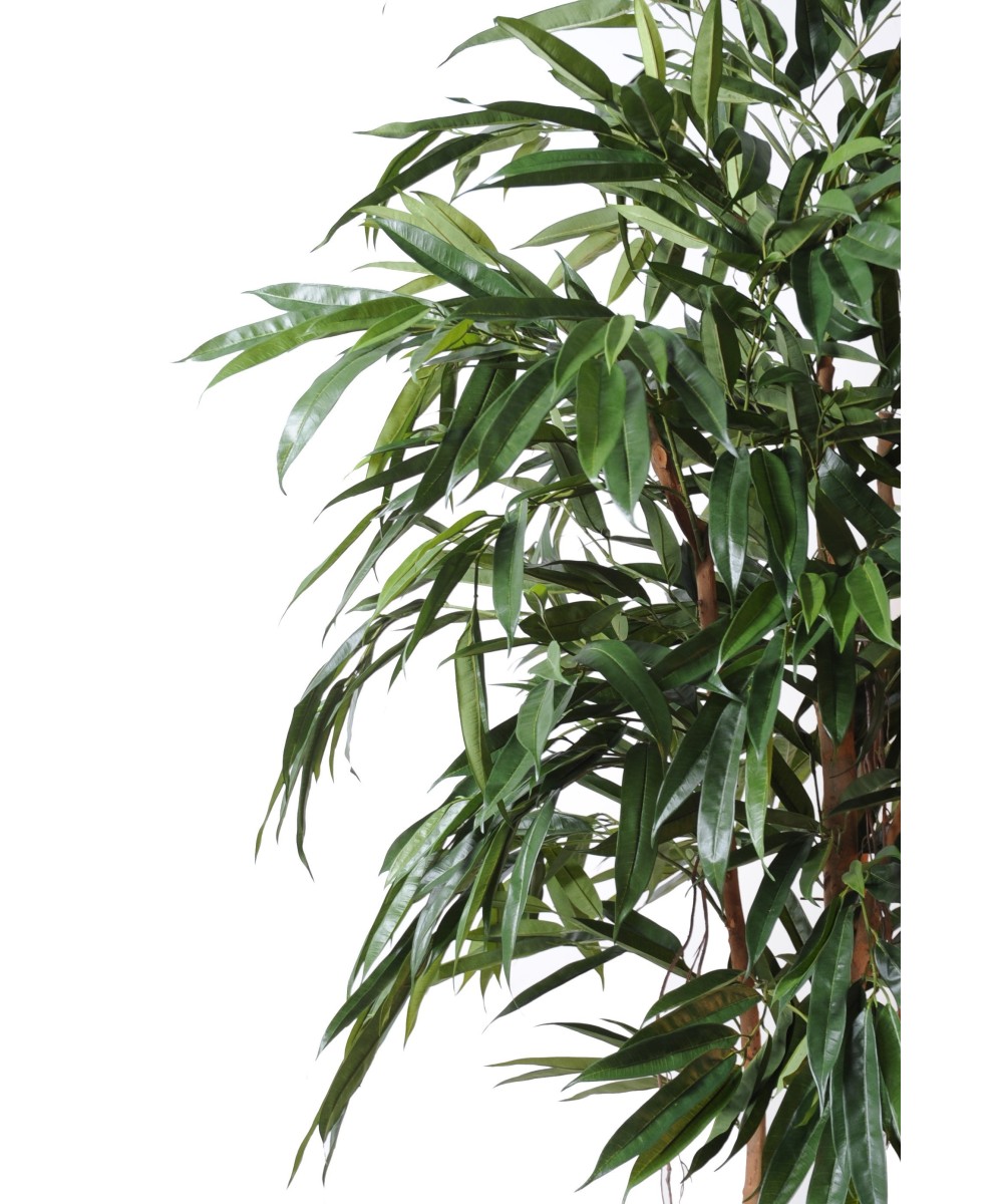 Artificial Ficus Alii Royal