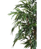 Artificial Ficus Alii Royal