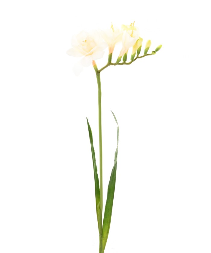 Kunstlik FREESIA