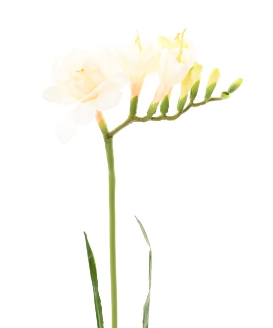 Kunstlik FREESIA