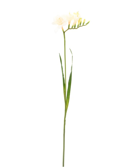 Kunstlik FREESIA