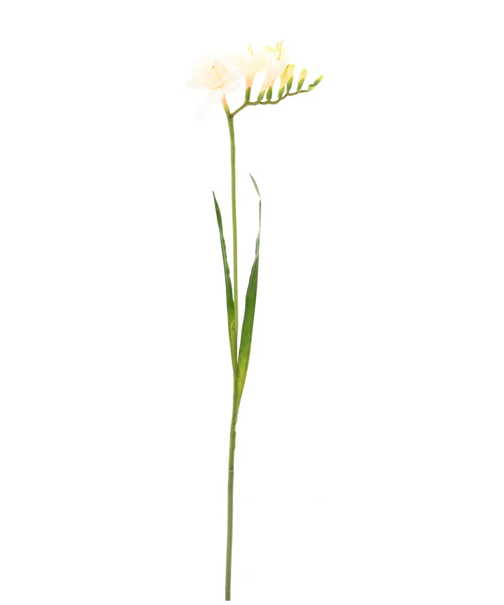 Kunstlik FREESIA