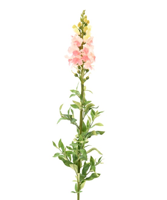 Artificial SNAPDRAGON