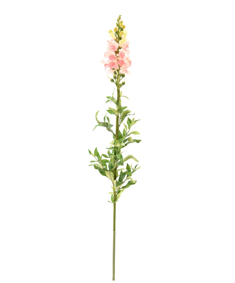 Artificial SNAPDRAGON