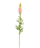Kunstlik SNAPDRAGON