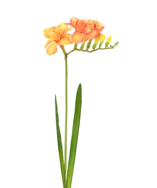 Kunstlik FREESIA