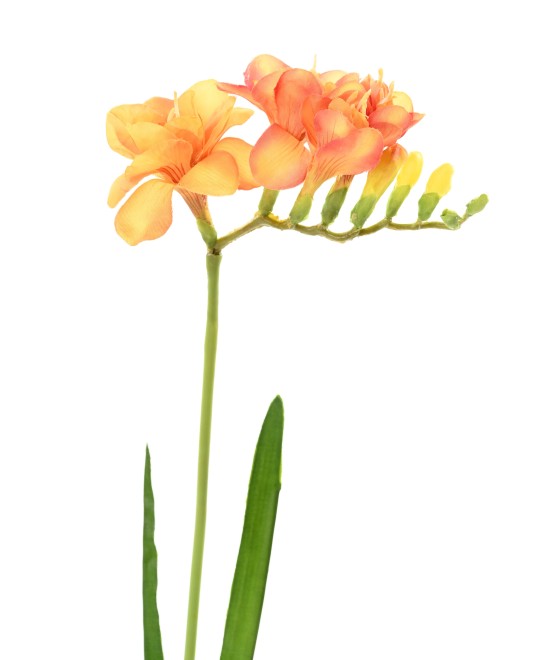 Kunstlik FREESIA
