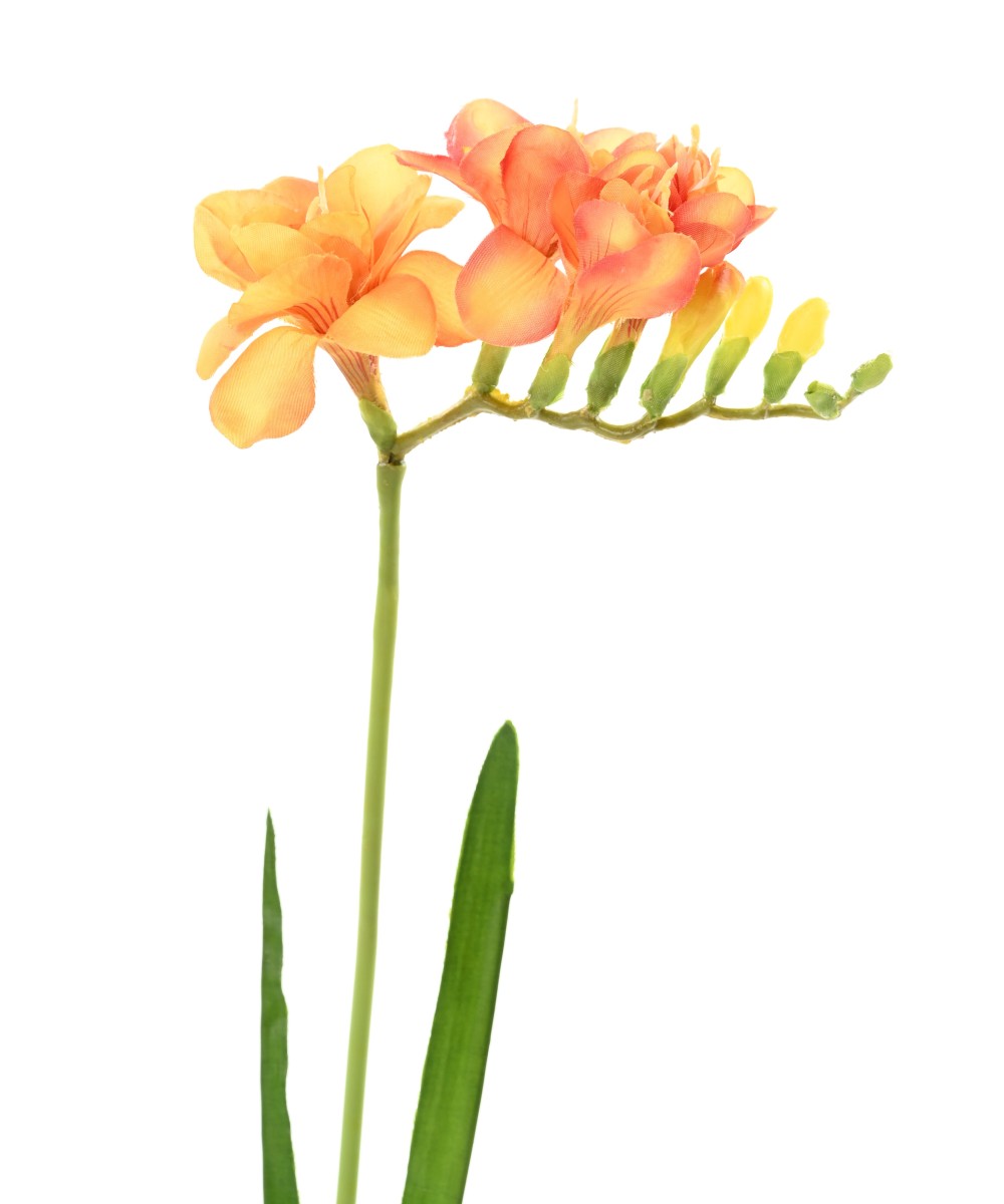 Kunstlik FREESIA