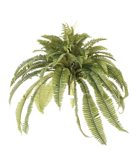 Artificial Giant Fern