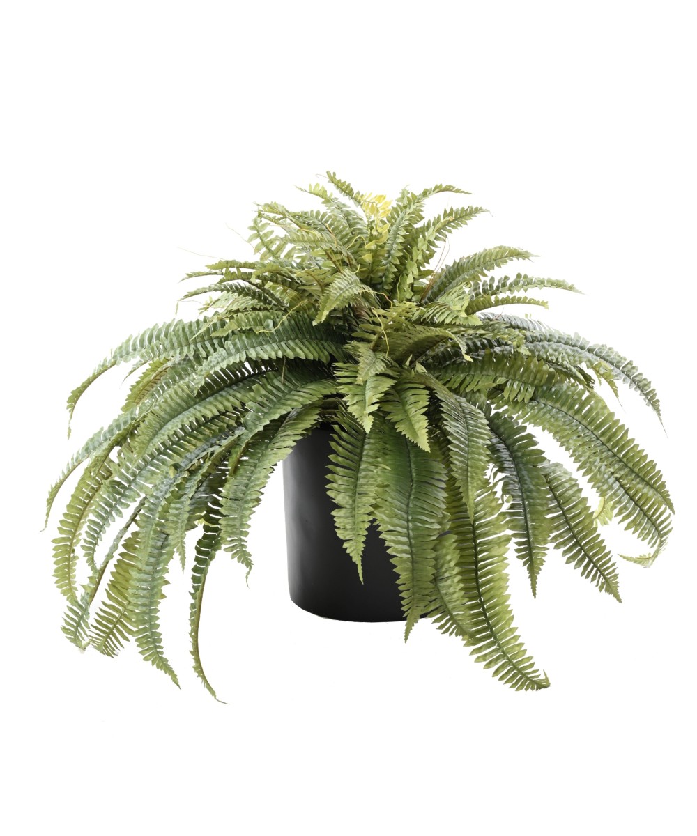 Artificial Giant Fern