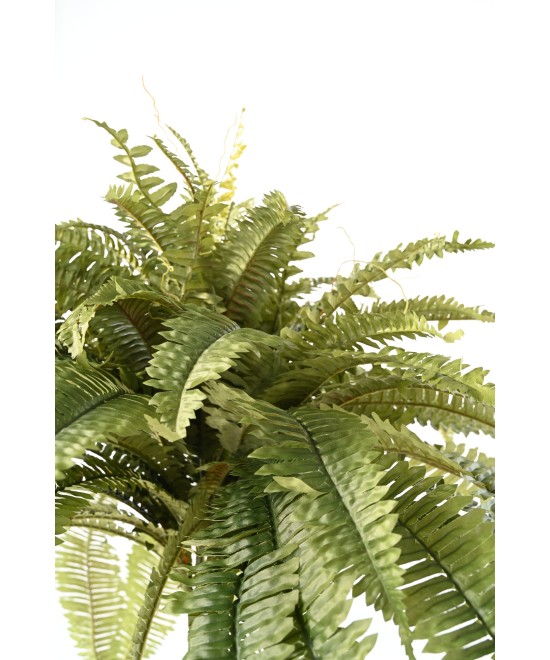 Artificial Giant Fern