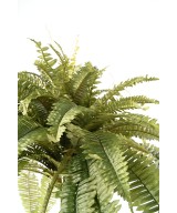 Artificial Giant Fern