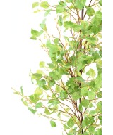 Kunstlik kasevanik XL 210