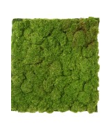 Artificial MOSS PEBBLES 50x50