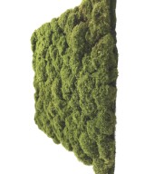 Artificial MOSS PEBBLES 50x50