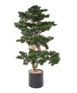Kunstlik männipuidust bonsai Alpes 140