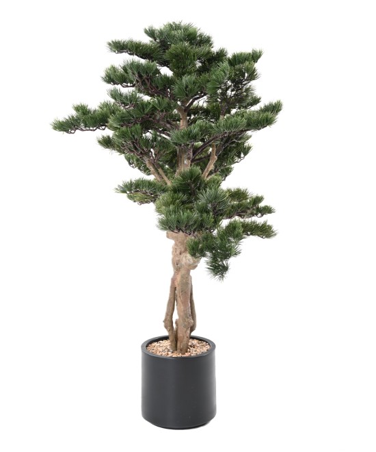 Kunstlik männipuidust bonsai Alpes 140