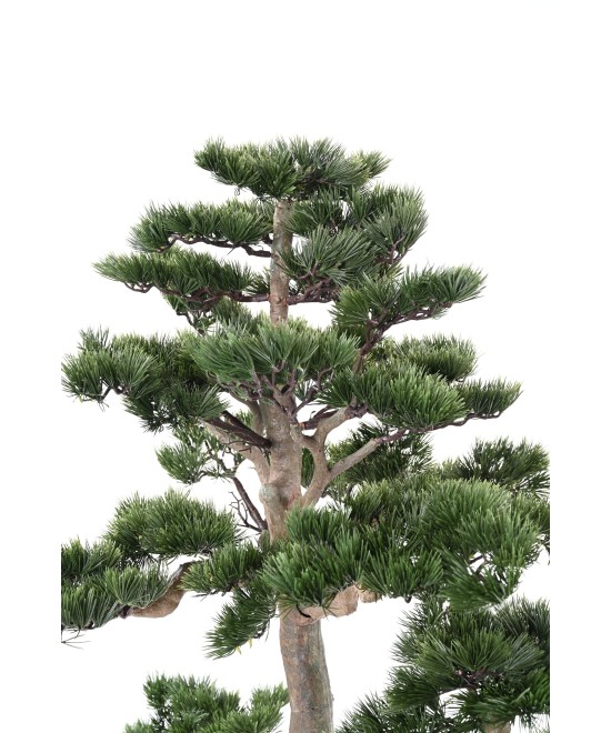 Kunstlik männipuidust bonsai Alpes 160