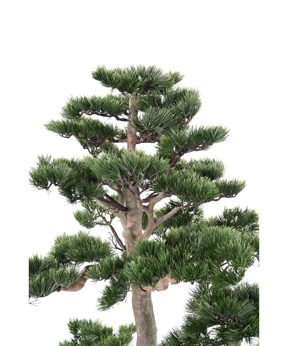 Kunstlik männipuidust bonsai Alpes 160