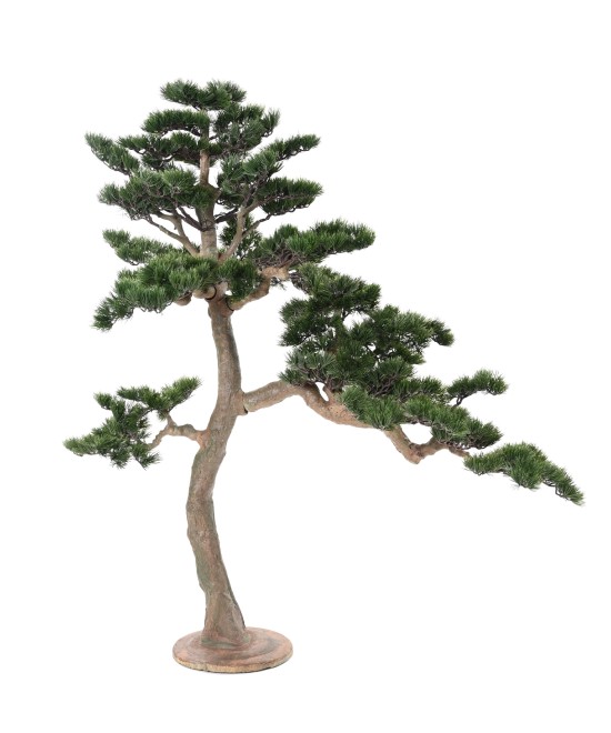 Kunstlik männipuidust bonsai Alpes 160