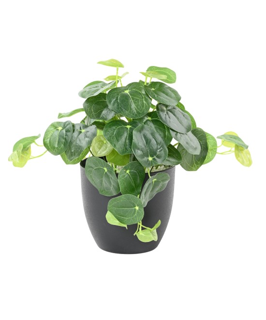 Kunstlik PILEA pott 39