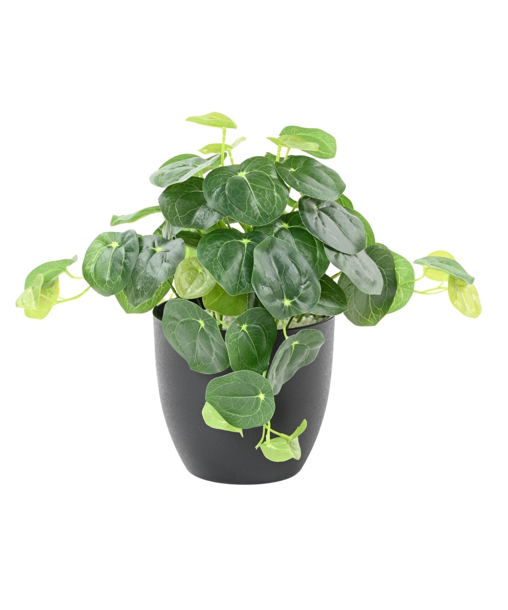Kunstlik PILEA pott 39