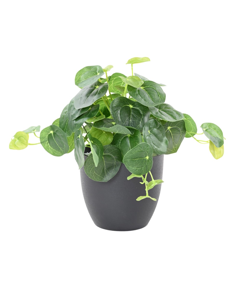 Kunstlik PILEA pott 39