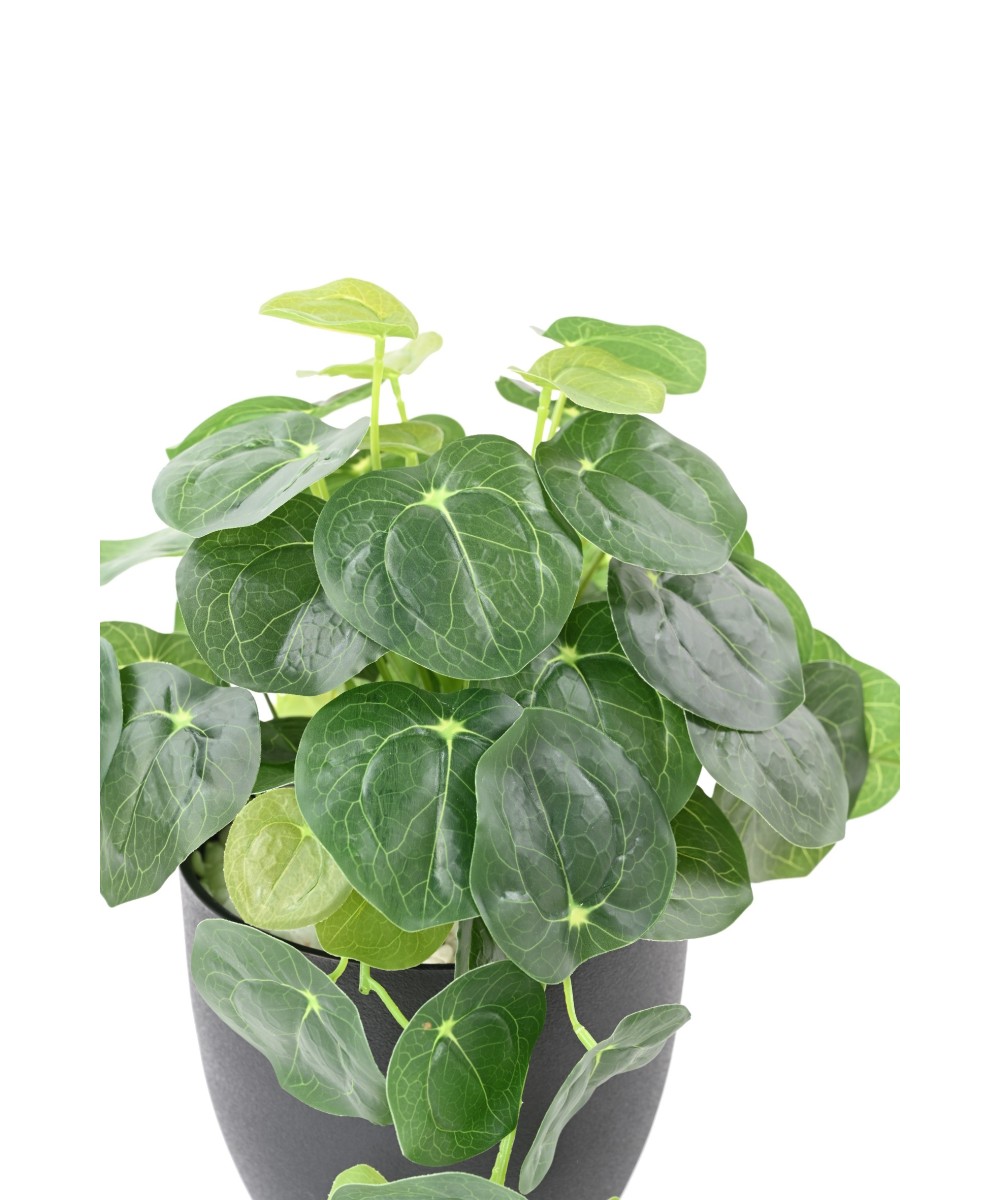 Kunstlik PILEA pott 39