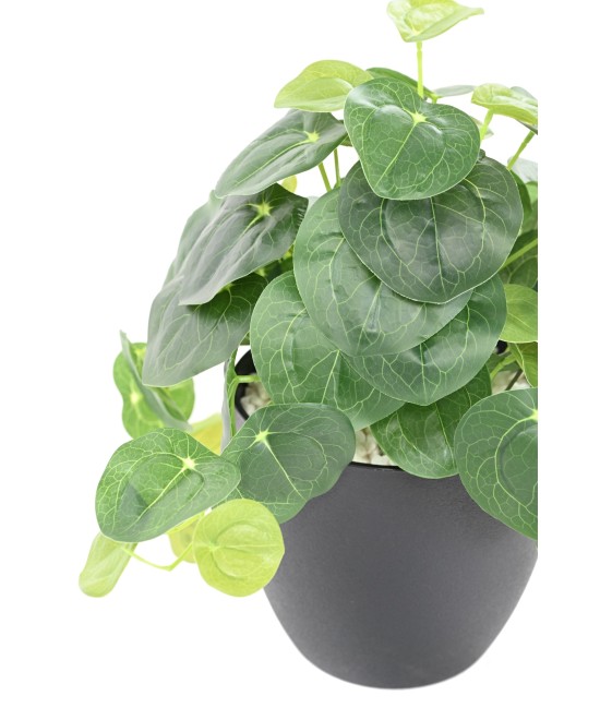 Kunstlik PILEA pott 39