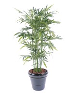 Artificial bamboo NEW GREEN