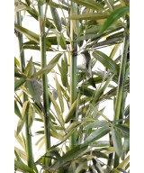 Kunstbambus UUS ROHELINE