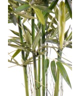Kunstbambus UUS ROHELINE