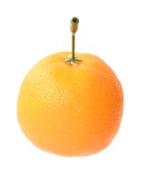 Artificial ORANGE MEDIUM WITH STEM