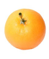 Artificial ORANGE MEDIUM WITH STEM