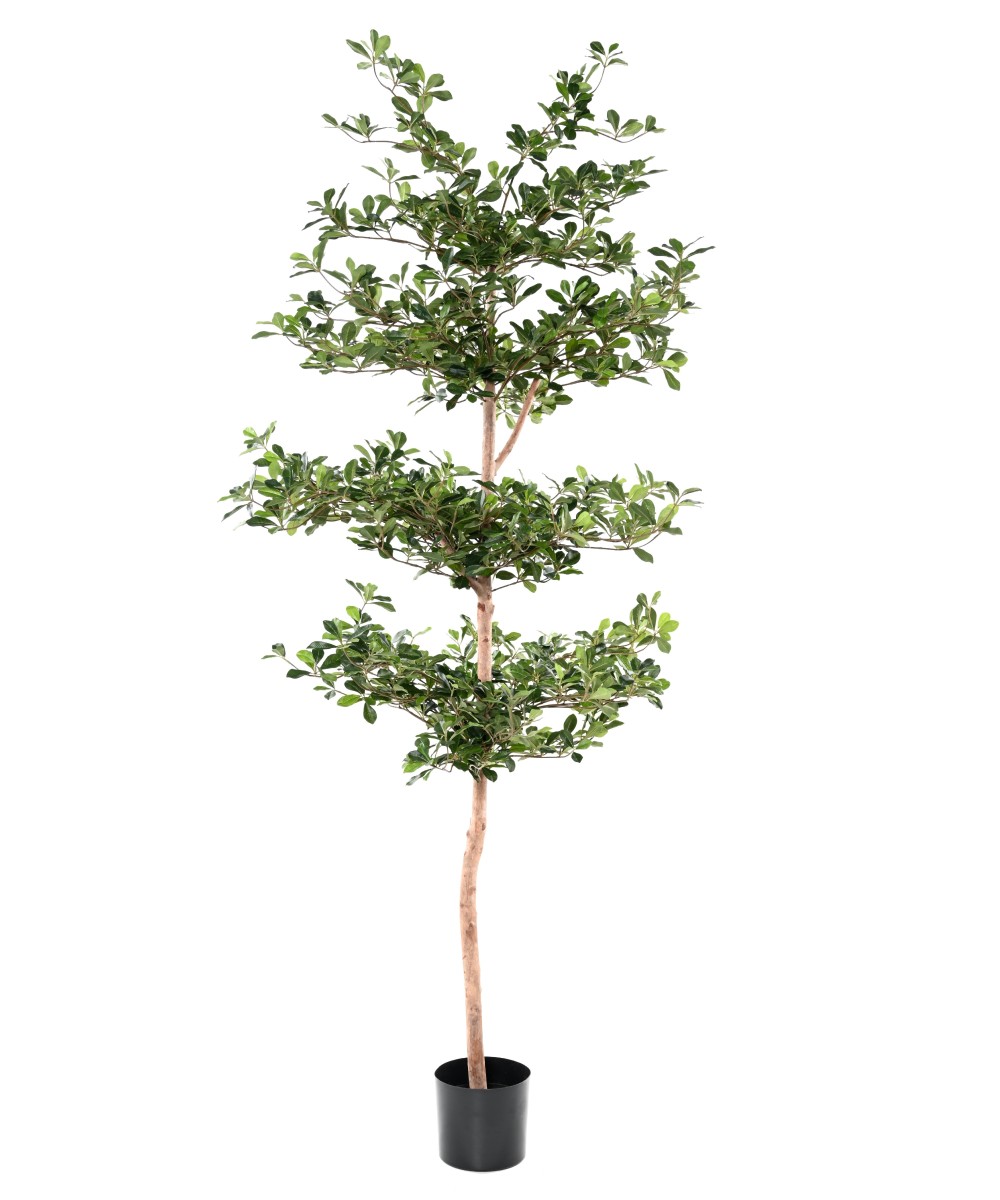Artificial FICUS BLACK OLIVE MULTI-LAYERED 230