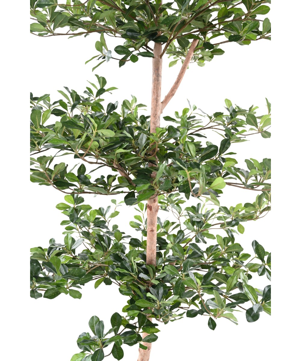 Artificial FICUS BLACK OLIVE MULTI-LAYERED 230
