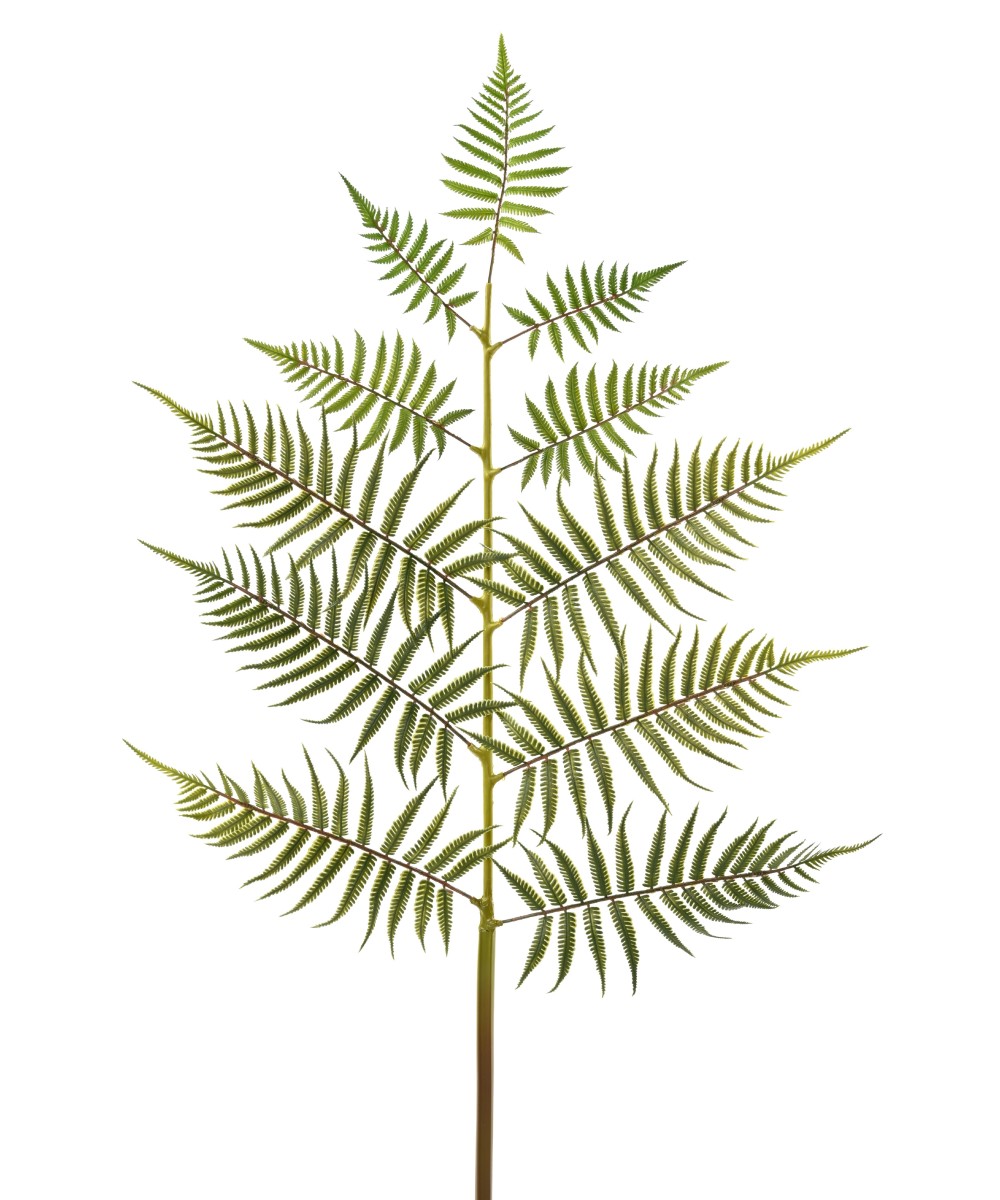 Artificial GIANT FERN LEAF 140